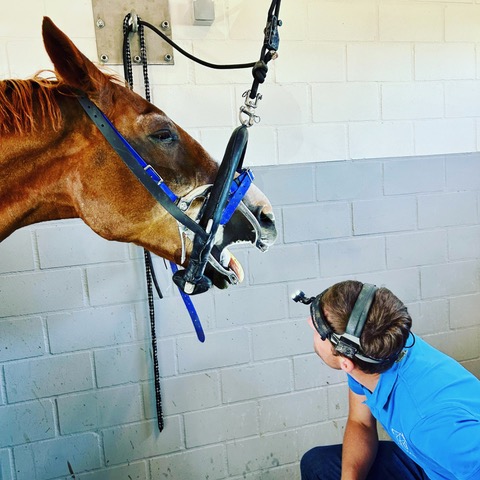 CD5DF434-56CB-4F58-9FB0-64CDCD2DD3F8